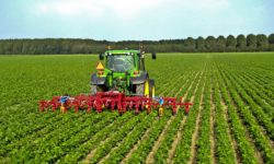 Agriculture Development Projects