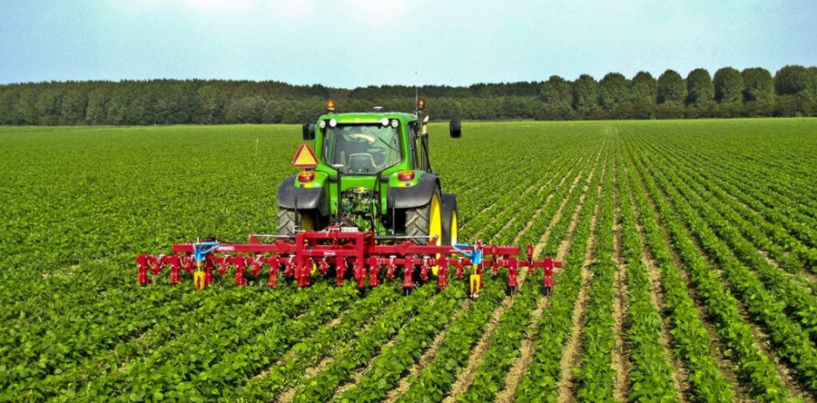 Agriculture Development Projects